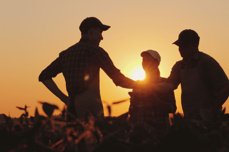 Power BI para Agronegócio